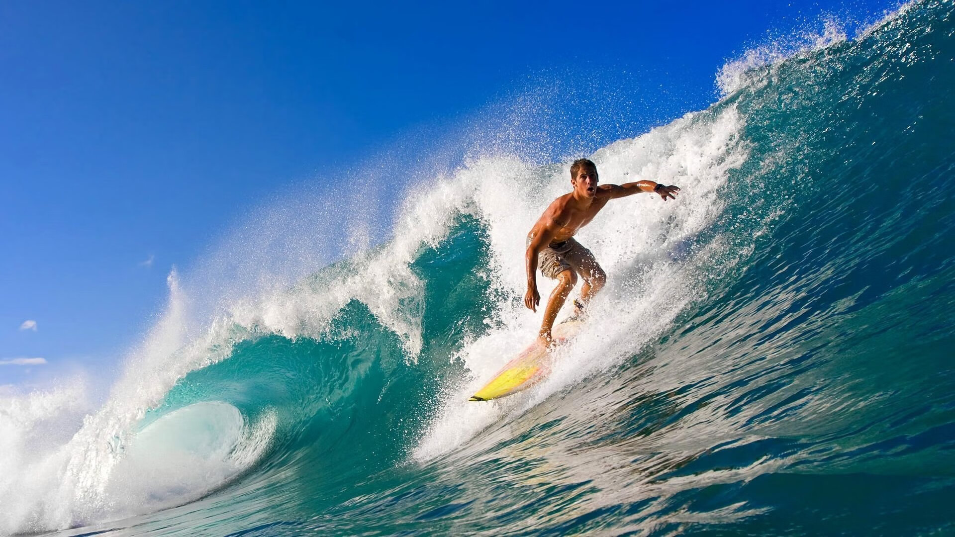 世界举重青年锦标赛中国队实力尽显，世界举重锦标赛2020在哪里举行